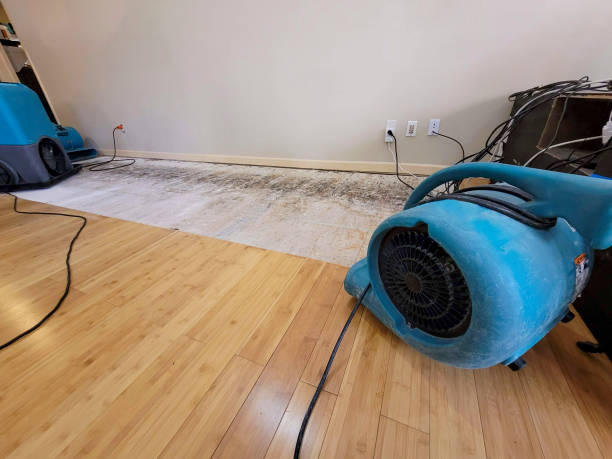Professional Structural Drying technician working in Green Mountain Falls, CO